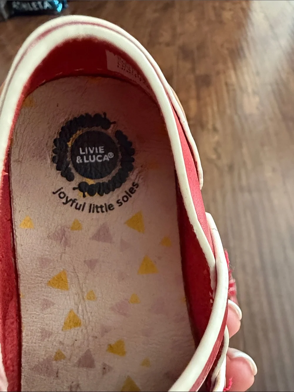 Livie & Luca Red Mary Jane Double-Strap Kids Shoes